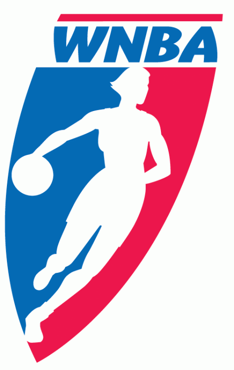 WNBA 1997-2012 Primary Logo iron on transfers for clothing